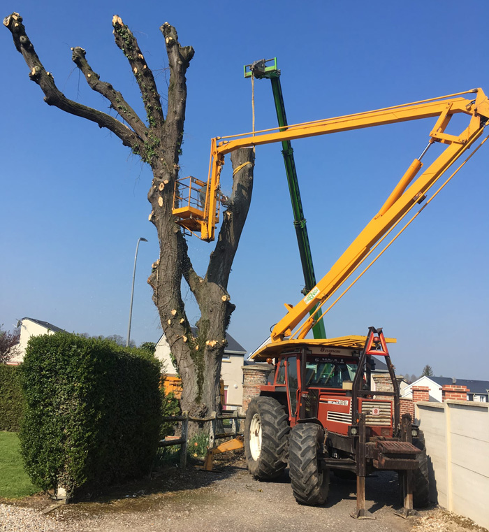 Élagage et Abattage à Dieppe, Cany-Barville, Saint-Valery-en-Caux